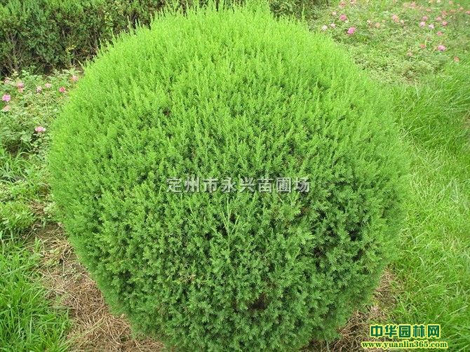 u50-120ֵ̓r(ji)N(xio)