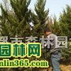 С硢ľ1-10