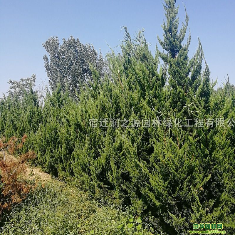 ֱNءؘ(sh)С