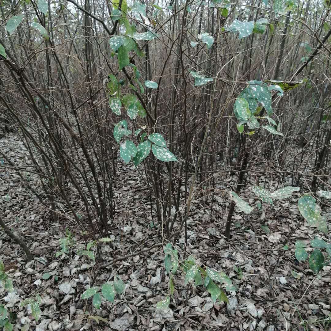 3֘乩3ֈr4փr