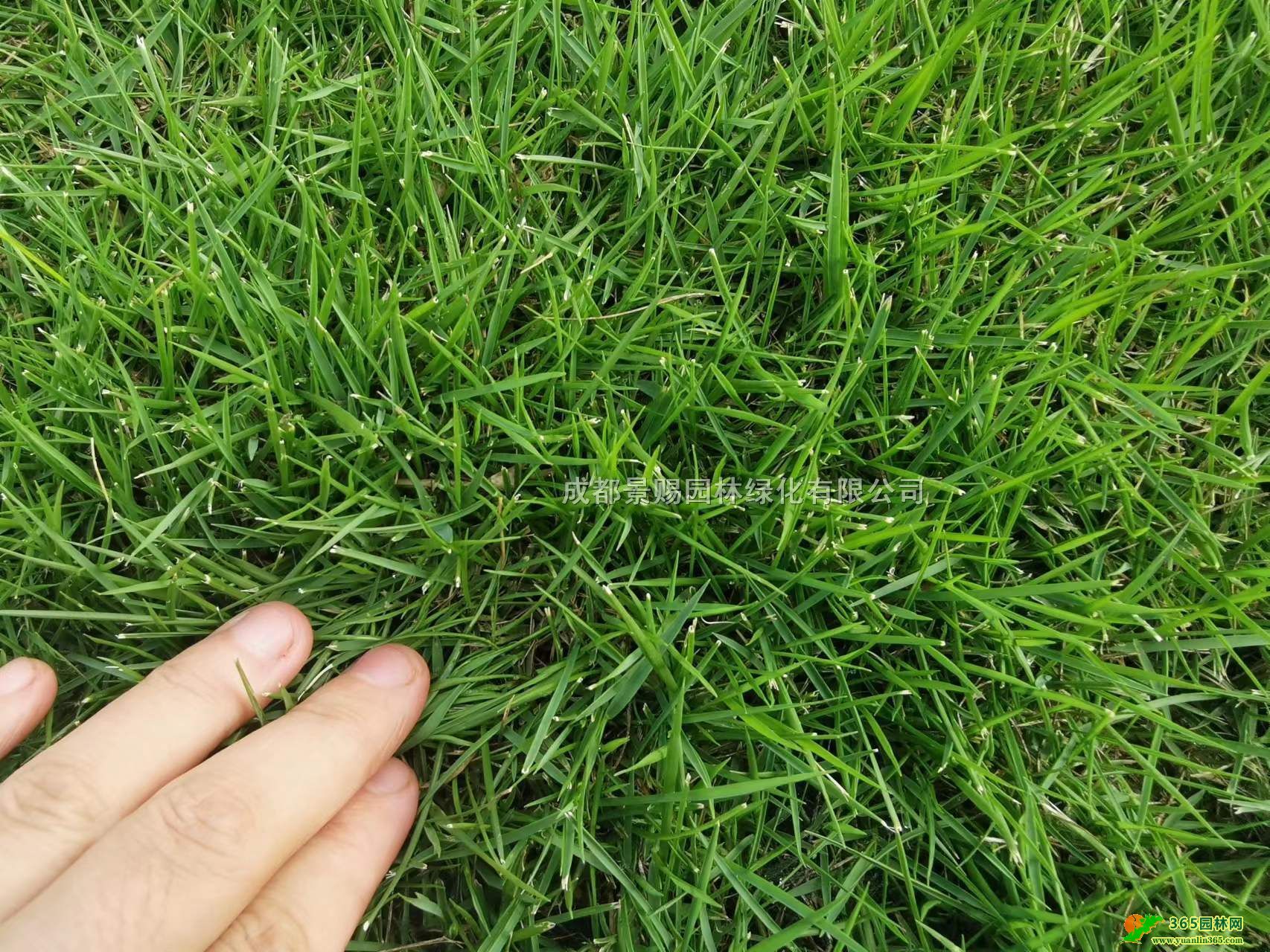 _(ti)̖(ho)ƺr(ji)_(ti)ݻl(f)FݲƺĴؽƺ