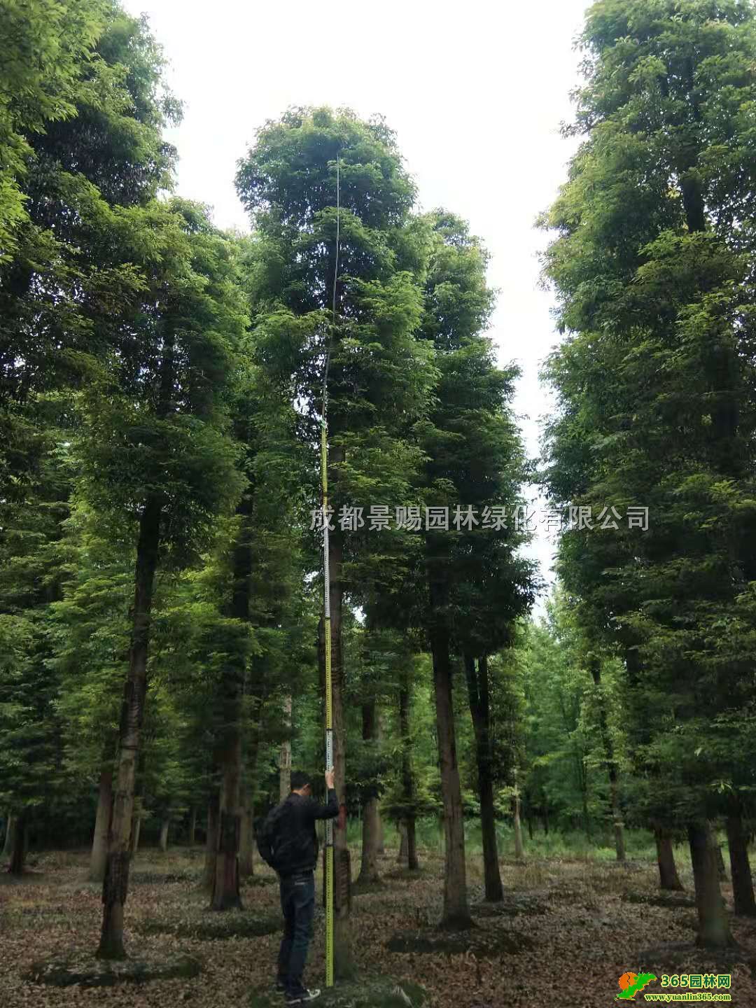 18-20-25С~E؛1-2׸С~E骾Gh