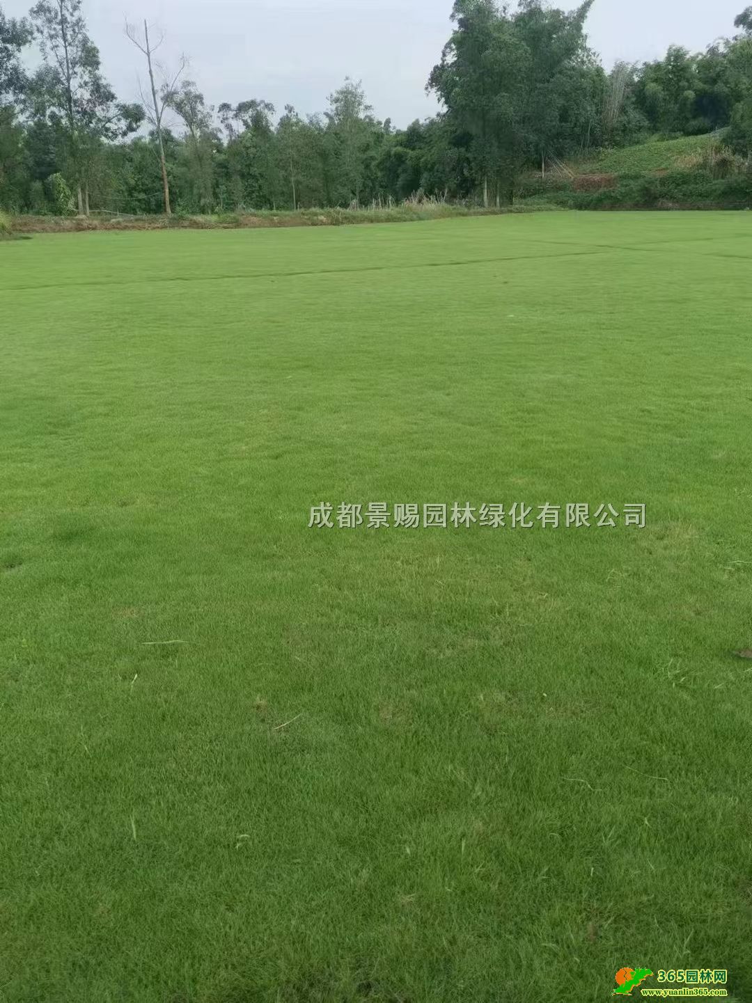 _(ti)̖(ho)ƺƷ_(ti)̖(ho)_(ti)̖(ho)l(f)Y(ji)|݃r(ji)