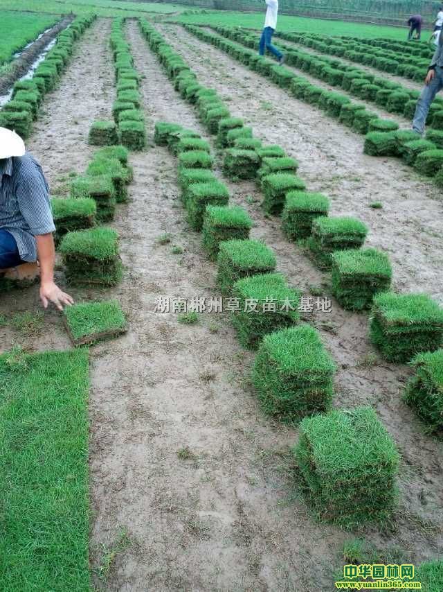 RƤ