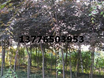 356810֙Θ