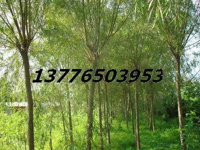 12֘~