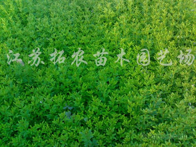 uӭBN~ŮؑС~S
