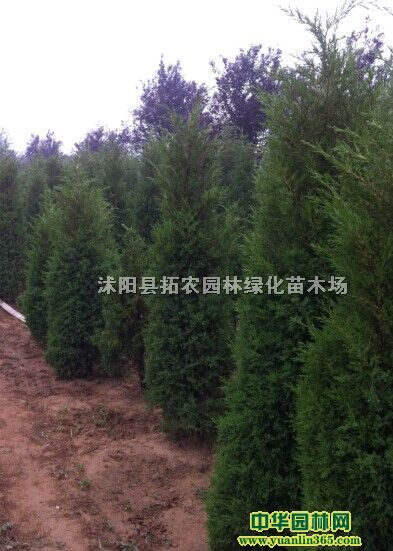 15-350cm̰ءu