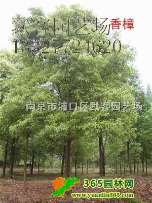 r2025r