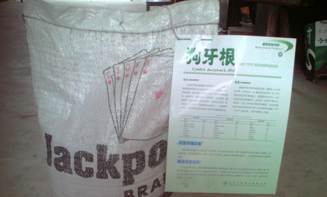 ƺN NӣÓ