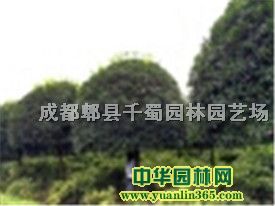 8-12ְ¹е䡢ǧ𻨈@10ֹ200܇