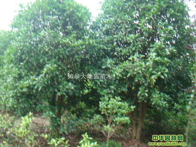 (d)UD2-5ڷP80-300K