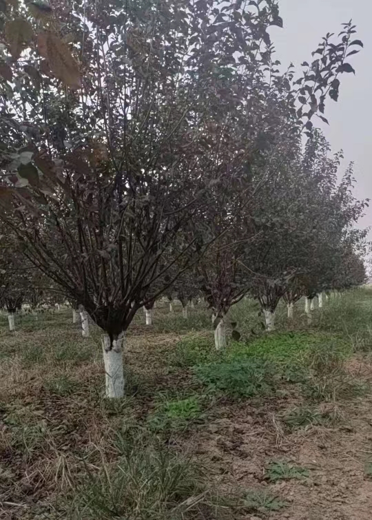 ~÷