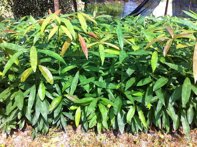10-60ָٻ骱60f(wn)