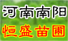 ꖺʢ@